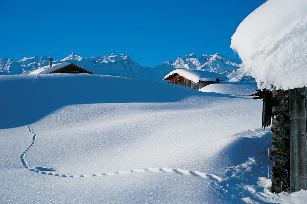 Chalet Zamang Schruns Exteriör bild
